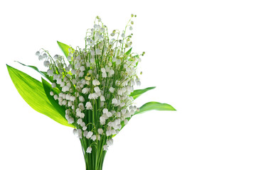 The branch of lilies of the valley flowers isolated on white bac