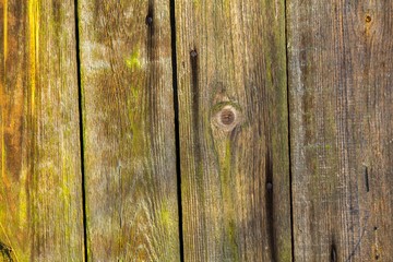 Close up of natural old wooden planks