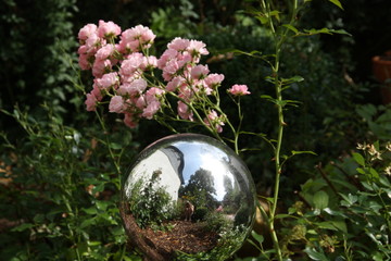 Gartenkugel mit Fotographin