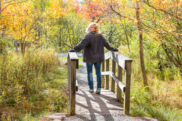 Back of young woman on small wooden bridge in autumn