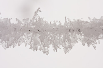 Details from a branch full of hoarfrost with natural background
