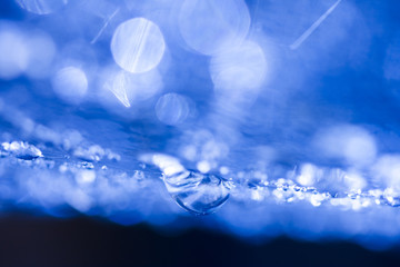 Abstract composition with water drops, spiderwebs and bokeh