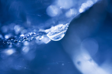 Abstract composition with water drops, spiderwebs and bokeh