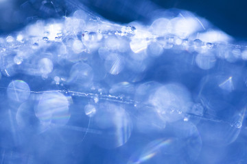 Abstract composition with water drops, spiderwebs and bokeh