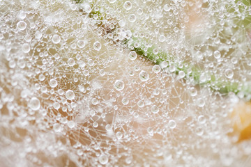 Abstract composition with water drops, spiderwebs and bokeh