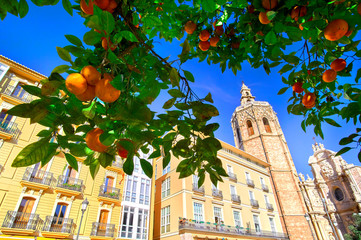 Valencia Spain Architecture and Orange Tree