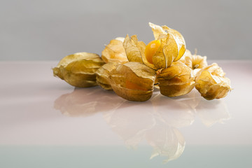 Closeup of Physalis peruviana fruit with light grey background and reflexions
