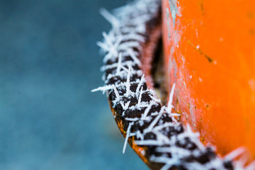 Betonmischer - Frozen Winter Wonderland