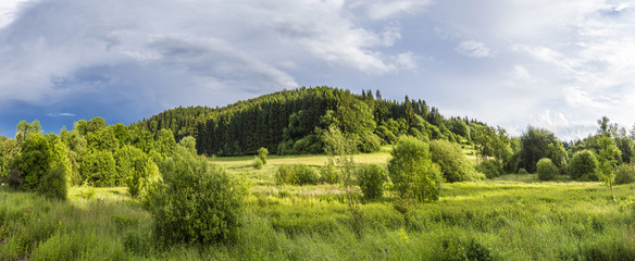 bright sunlight on the Eifel  meadow with forest