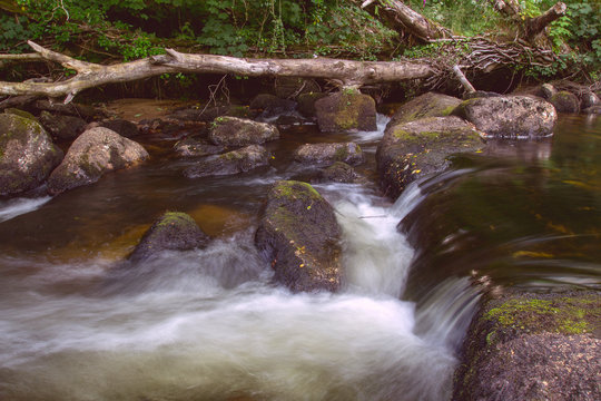 East Dart River. Dartmoor National Park. Devon. UK