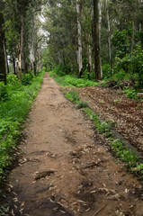 Roads
