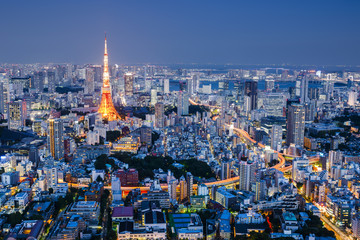 Fototapeta premium Cityscape at Night, Tokyo, Japan