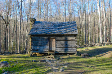 Shack in the Woods