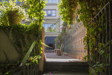 outdoor stairwell with garden