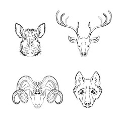 Set of animals sketches: deer,