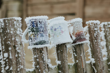 frozen fence covered  with ice flakes