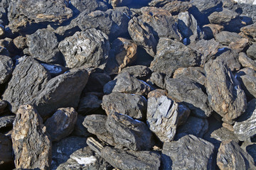 Coal for winter