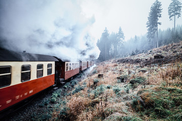 Harzer Schmalspurbahn fährt mit viel Dampf durch den Wald
