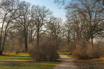 Obraz premium One people sit on a seat inside park in Potsdam near Berlin in Germany during winter season 