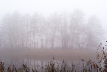 Wyspa na stawie w gęstej mgle