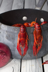 Fresh steamed crayfish. Two crayfish hanging on the tails. Boiled crawfish with parsley and spices. Rustic style. Wooden background.