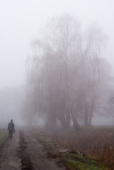 samotny mężczyzna spacerujący w gęstej mgle - obrazy, fototapety, plakaty