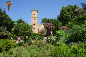  The andalusian gardens in the old medina of Rabat.