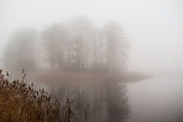 Fototapeta na wymiar Wyspa na stawie w gęstej mgle