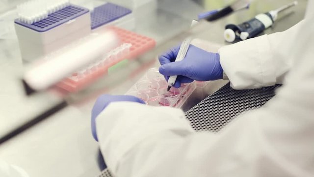 labeling plates in the bioafety cabinet