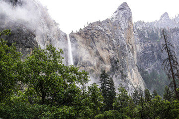 Water Fall on a Misty Day