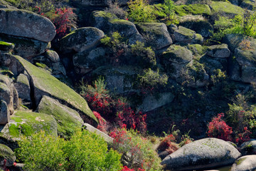 Country landscape with hills and stones