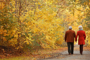 Lovely mature couple in autumn park