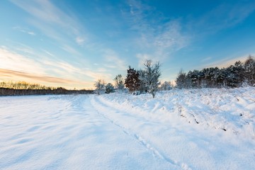 Snow covered countryside with trees