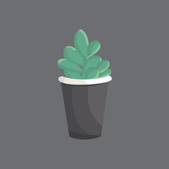 Vector flat house plant cactus cartoon illustration.