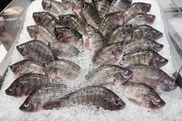 many fish on ice in super market