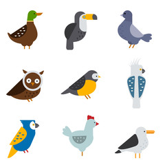 Birds vector set illustration isolated