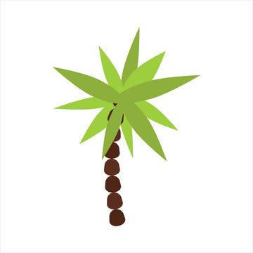 Palm tree isolated vector.