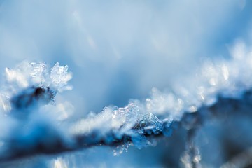 Close up of rime on plants.