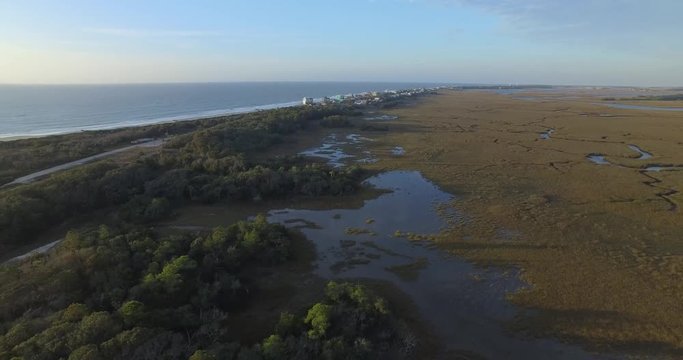 Aerial shot of a coastal marsh and forest on Folly Beach in South Carolina.