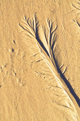 abstract sand ornament