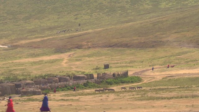 CLOSE UP: Tourist safari jeep approaching maasai village on savannah foothills