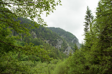 summer mountains green grass and blue sky landscape