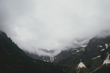 Foggy mountain in summer morning