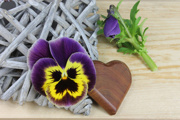 Pansy with wooden heart