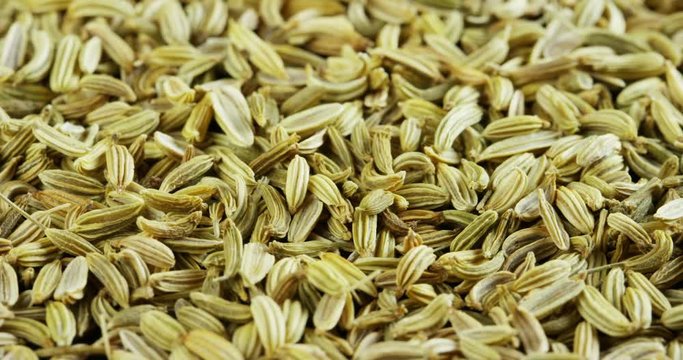 Macro shot of fennel seeds, Wellness concept, body care, digestion.