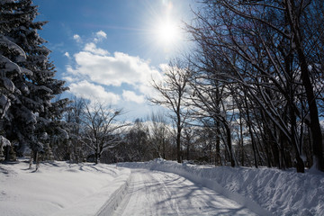 冬の太陽と雪道