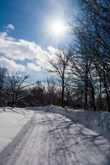冬の太陽と雪道