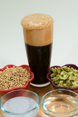Home Brew Beer ingredients shown with a glass of foamy beer with malted barley grain, yeast, hops and water