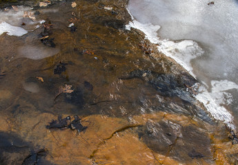Icy Waters
