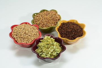Home brew beer ingredients hops and 3 different grains isolated on white background to show different colors of grain
